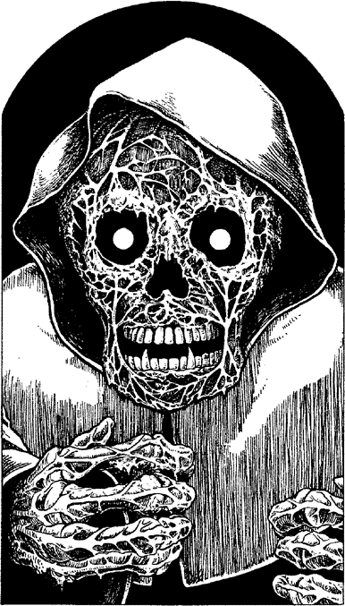 [illustration]