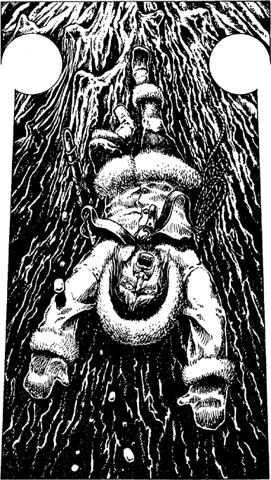 [illustration]