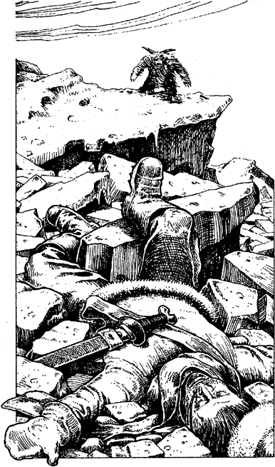 [illustration]