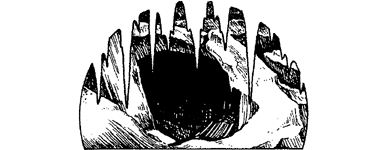 [illustration]