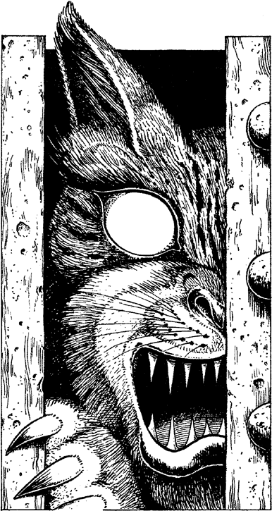 [illustration]