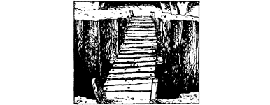 [illustration]