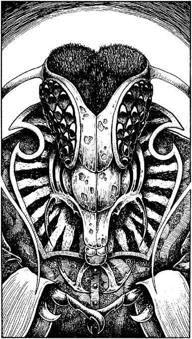 [illustration]
