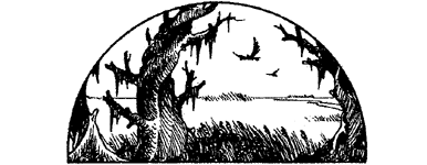 [illustration]