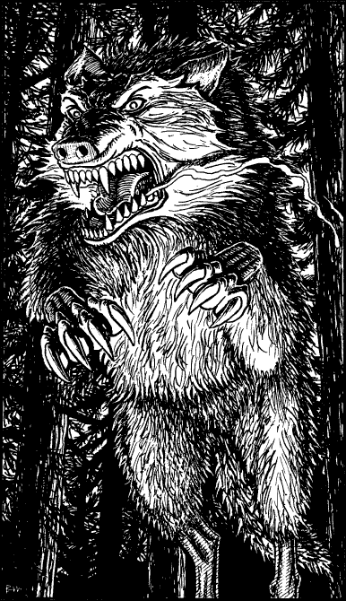 [illustration]