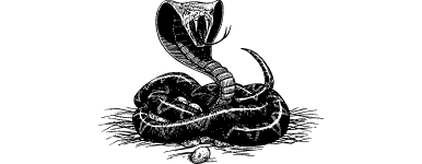[illustration]