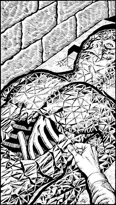 [illustration]