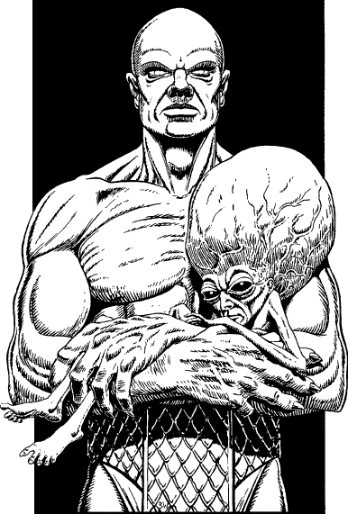 [illustration]
