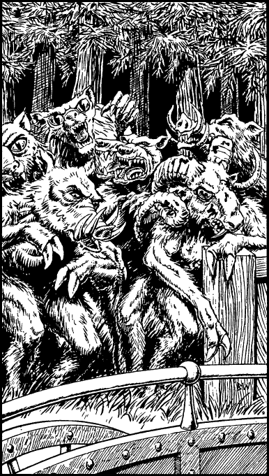 [illustration]