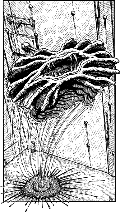 [illustration]