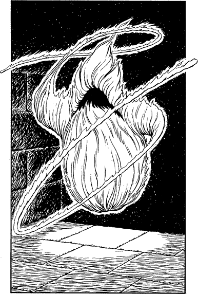 [illustration]