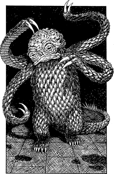 [illustration]