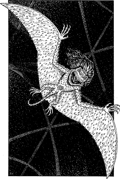 [illustration]