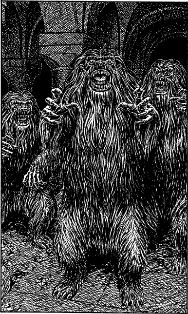[illustration]