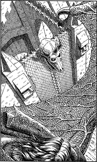 [illustration]