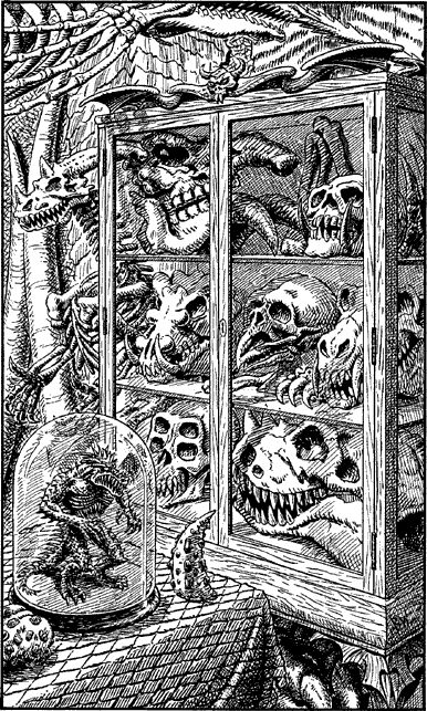 [illustration]