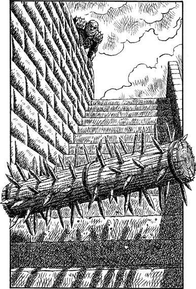 [illustration]