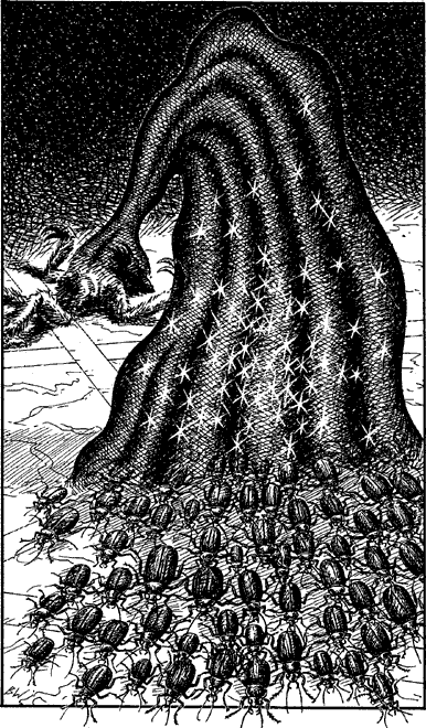 [illustration]