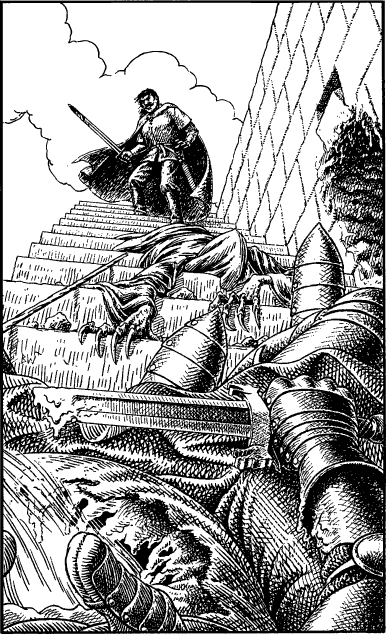 [illustration]