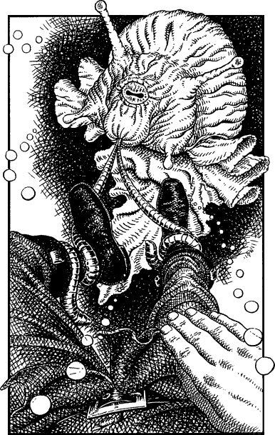 [illustration]