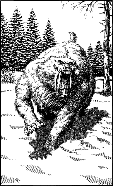 [illustration]
