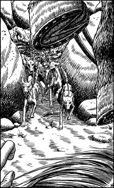 [illustration]