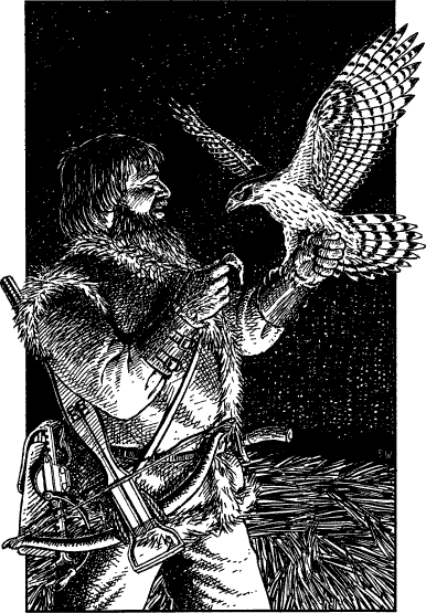 [illustration]