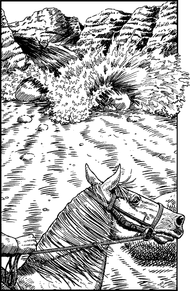 [illustration]