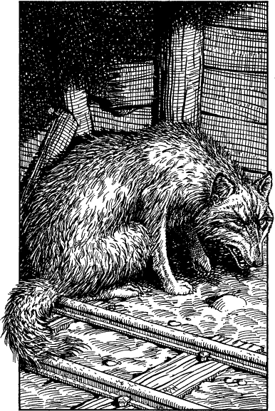 [illustration]
