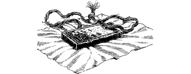 [illustration]