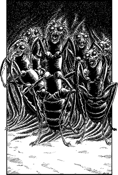 [illustration]