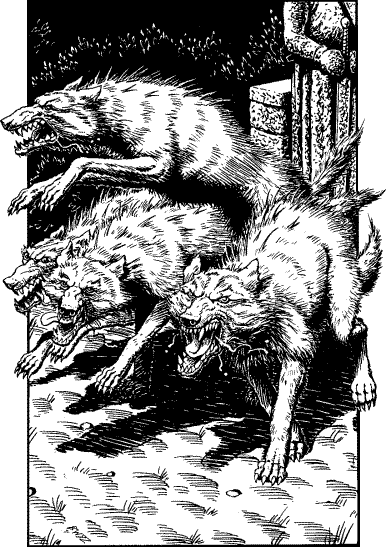 [illustration]