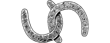 [illustration]