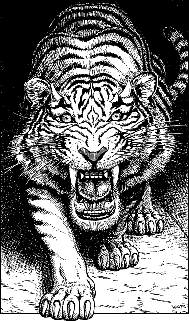[illustration]