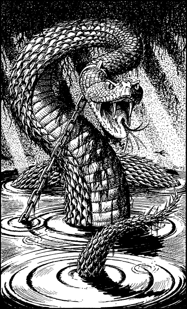 [illustration]