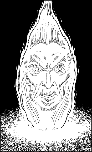 [illustration]