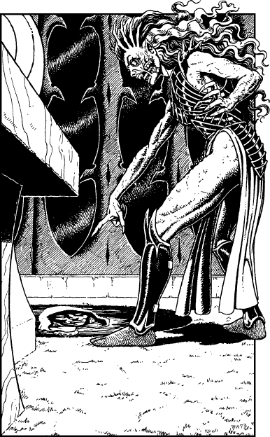 [illustration]