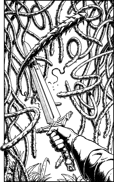 [illustration]