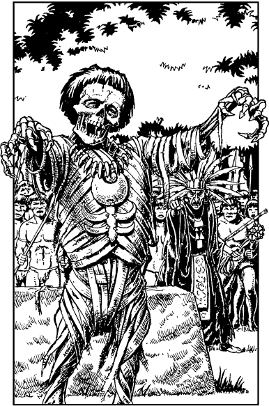 [illustration]