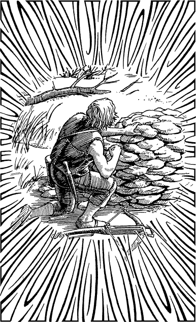 [illustration]