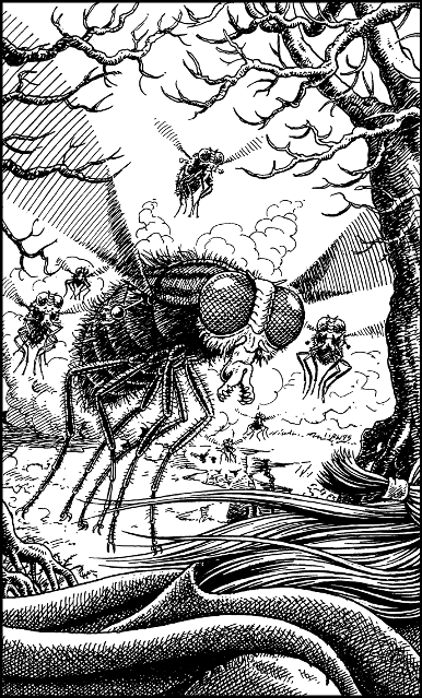 [illustration]