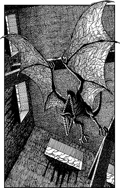 [illustration]
