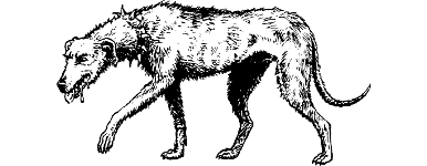 [illustration]