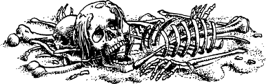 [illustration]
