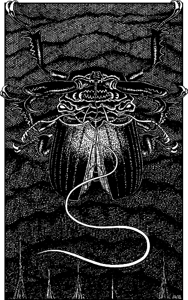 [illustration]