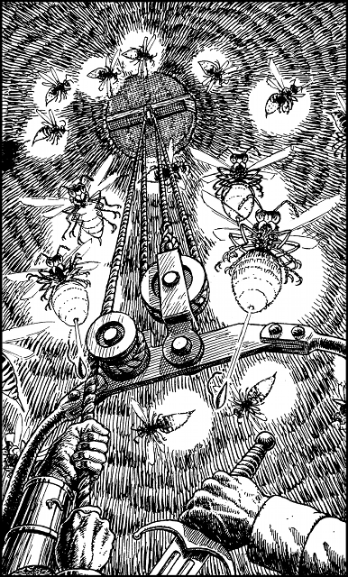 [illustration]