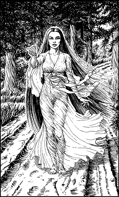 [illustration]
