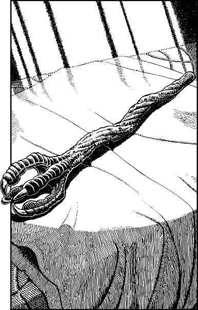 [illustration]