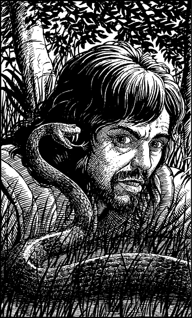 [illustration]