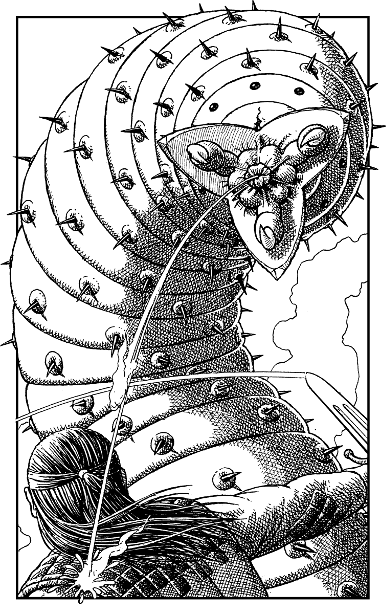 [illustration]